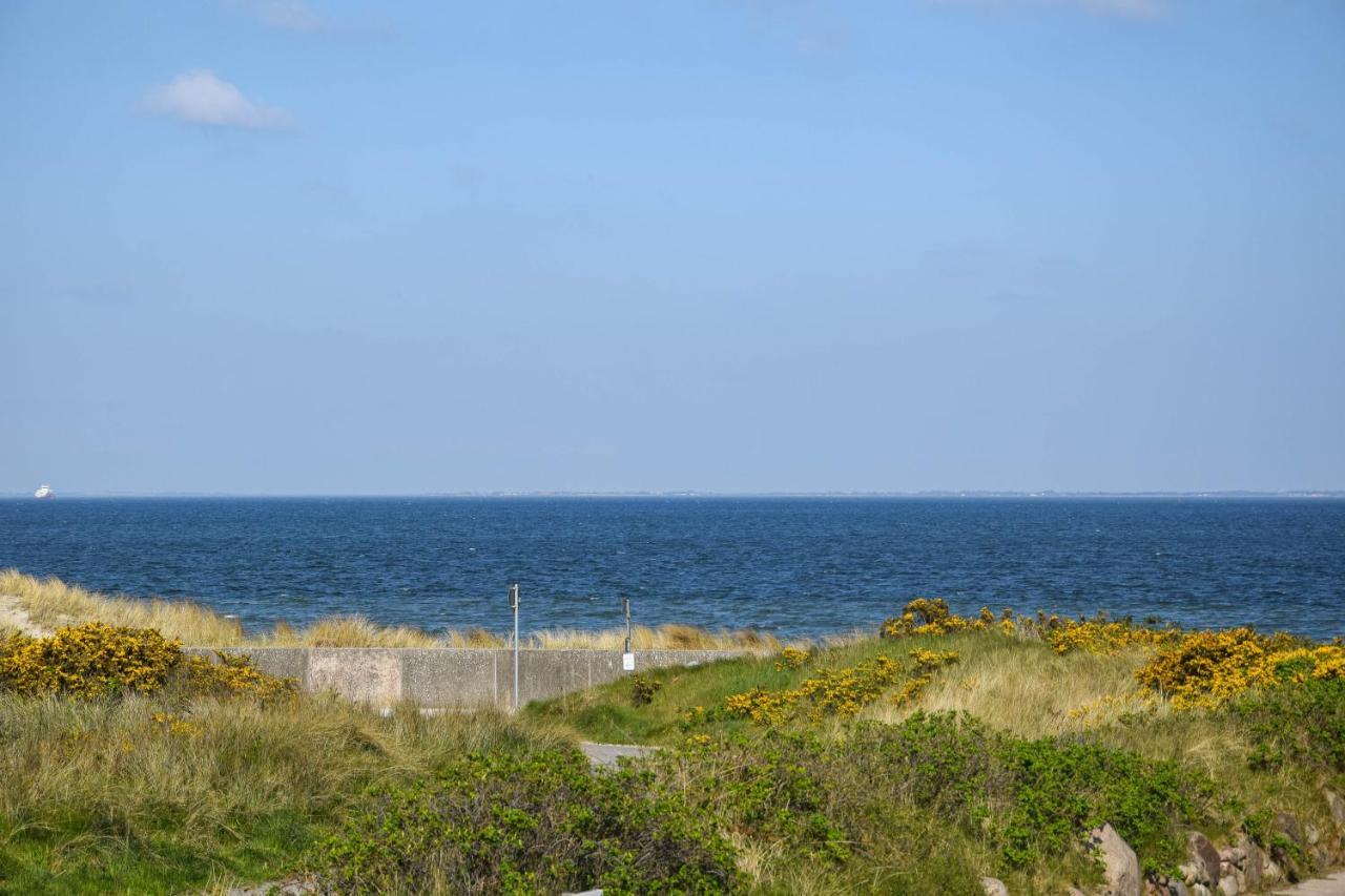 Land In Sicht List auf Sylt